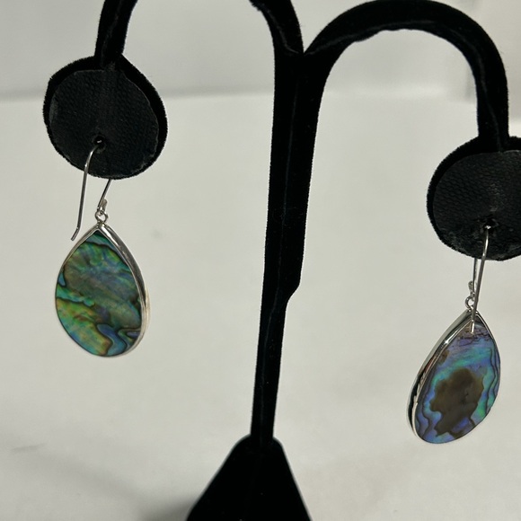 Navy Blue Rain Drop Style Earrings - Picture 2 of 4